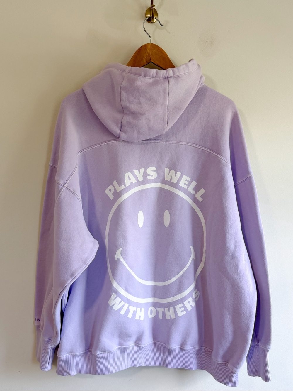 Aerie Smiley "Plays Well With Others" Hoodie